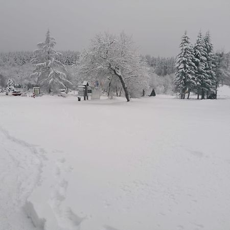 Ferienwohnung Mia Winterberg Værelse billede