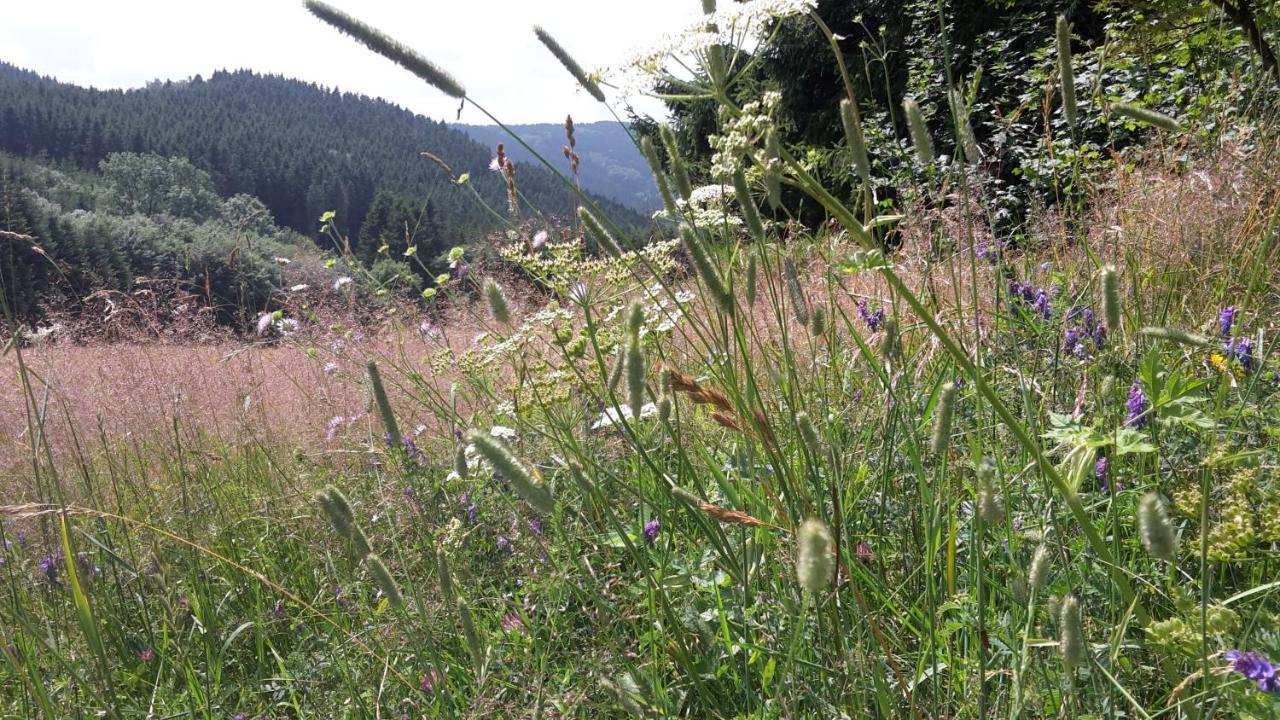 Ferienwohnung Mia Winterberg Eksteriør billede