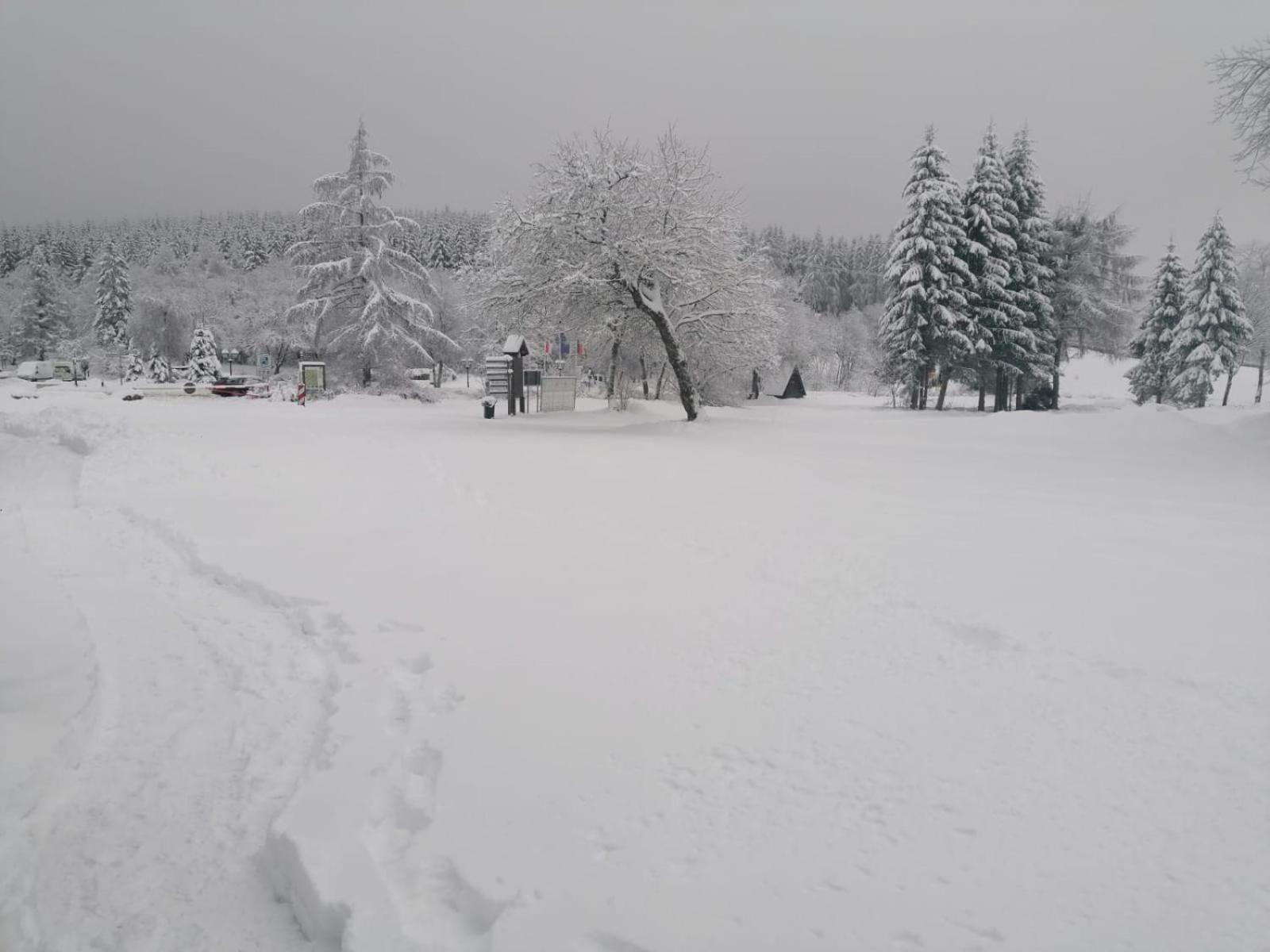 Ferienwohnung Mia Winterberg Værelse billede